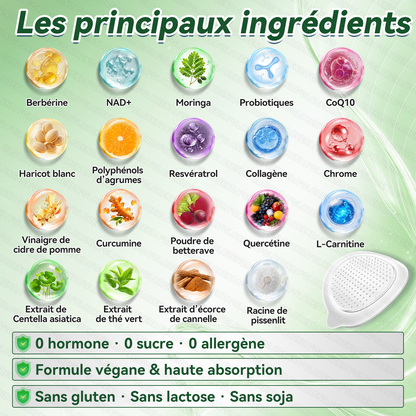 𝑩𝒐𝒖𝒕𝒊𝒒𝒖𝒆 𝒐𝒇𝒇𝒊𝒄𝒊𝒆𝒍𝒍𝒆 | 🔥 Plus que 10 boîtes ! 30 % de réduction ! Le patch GLORENDA® Moringa · Berberine × NAD+ 10-en-1, testé et sûr, soutient le poids, la glycémie, la digestion et l’énergie avec 4 à 6 patchs pour des résultats durables !